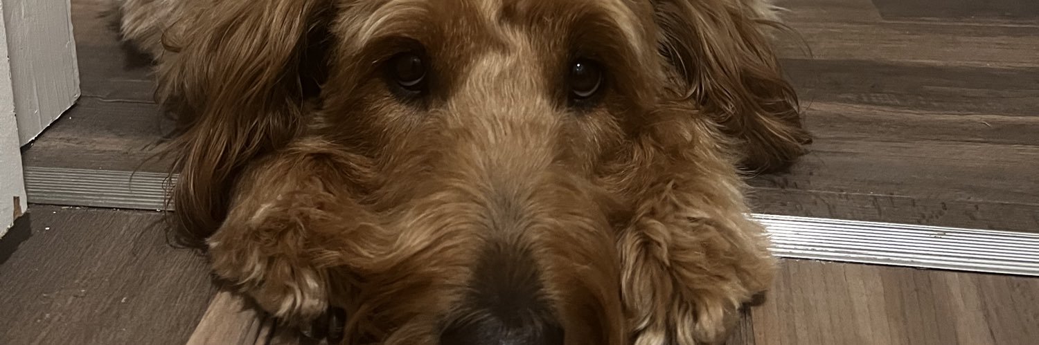EllisonLafferty's profile banner image
