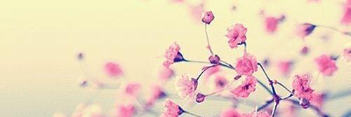 YasminRashyd's profile banner image