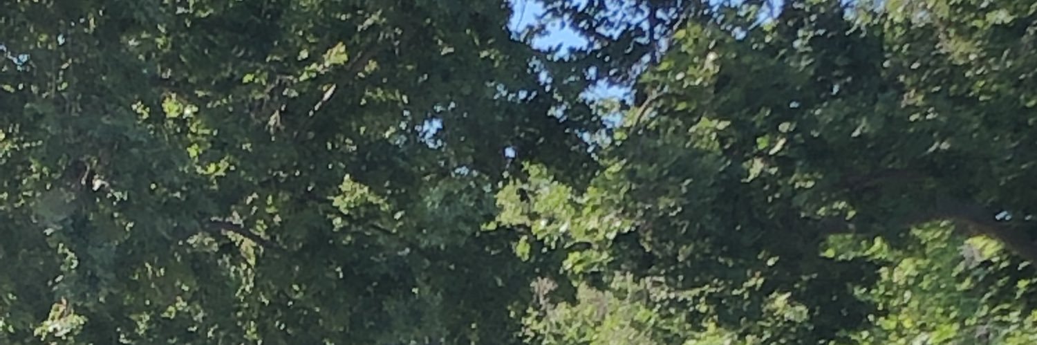 mikeo45's profile banner image