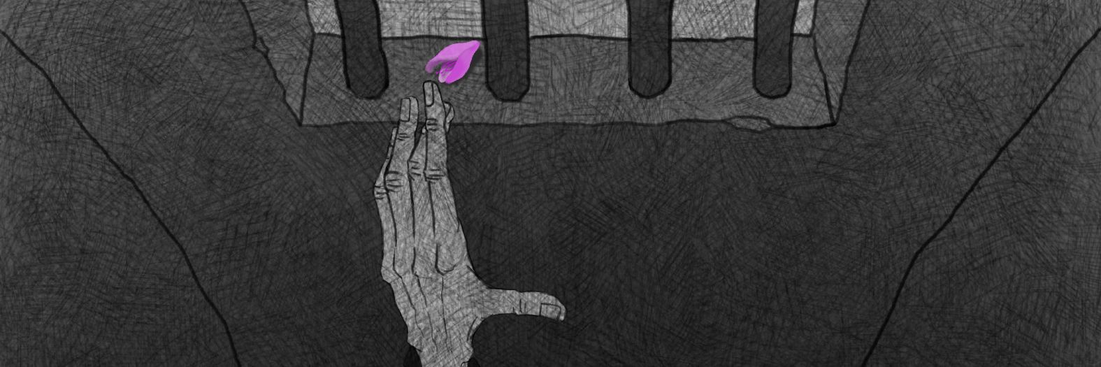 BIGPandaHERE's profile banner image
