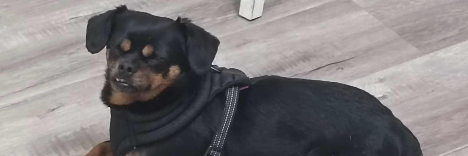 EdgarPazEs's profile banner image