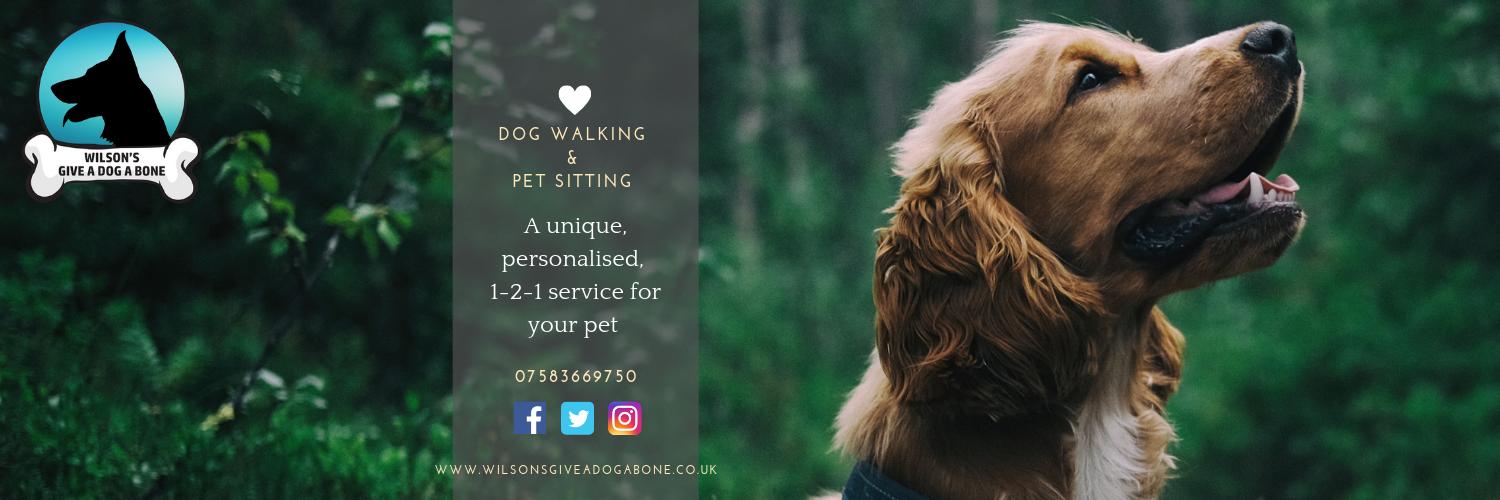 DW_petsitter's profile banner image