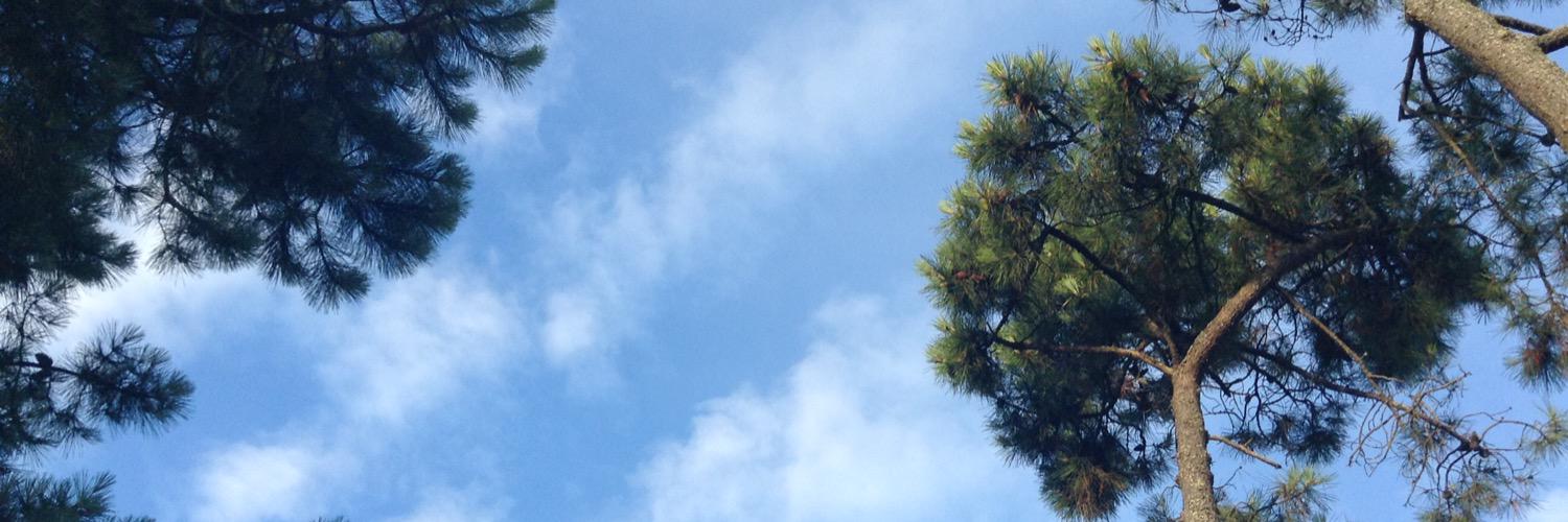 Prescillia531's profile banner image