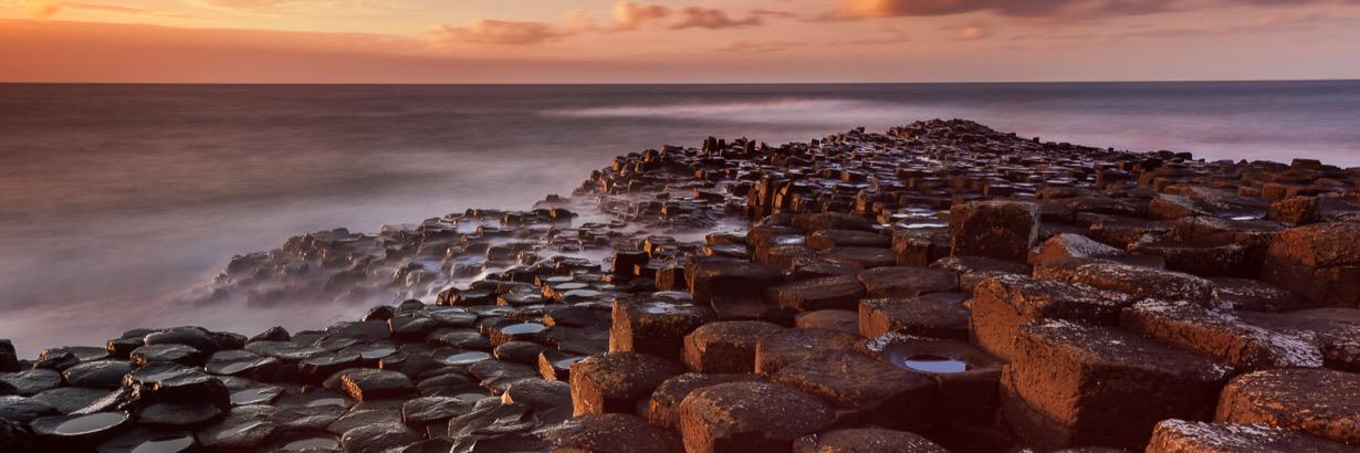 Laura O'Driscoll-Kay banner