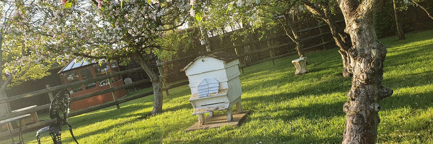 chimmpo67's profile banner image