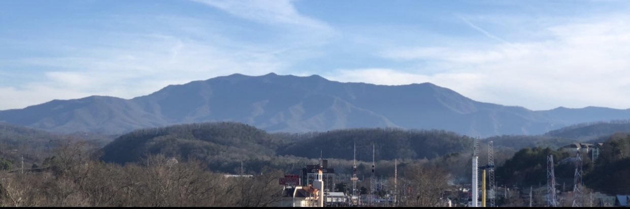 natty nikki ❤️🖤🔴⚫️ banner