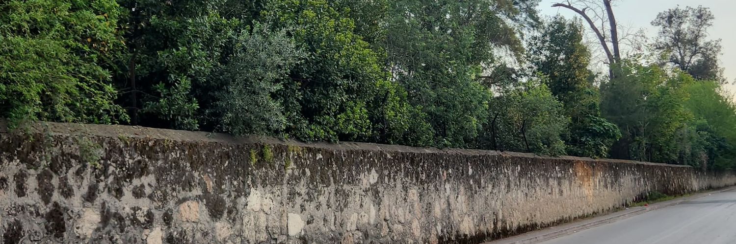 kerkutgc's profile banner image