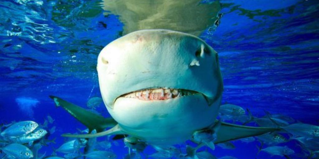 geraghtyatplay's profile banner image
