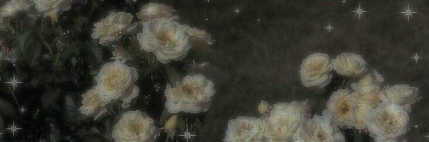 toryavvs's profile banner image