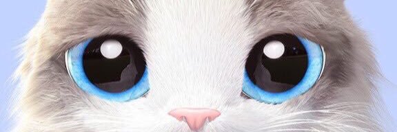 BADARjokes's profile banner image
