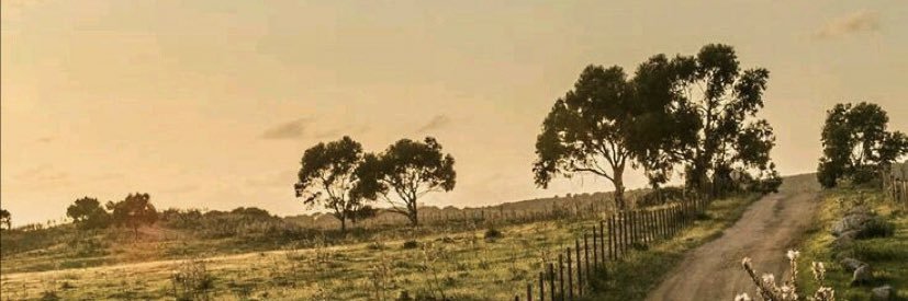 klorente_'s profile banner image