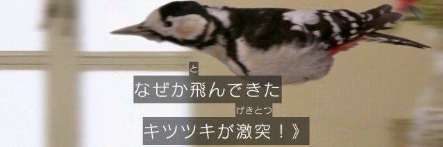 霄(しょう)ヴパイぱいサンドイッチ banner