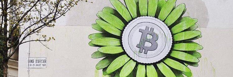 anatolyitopteam's profile banner image