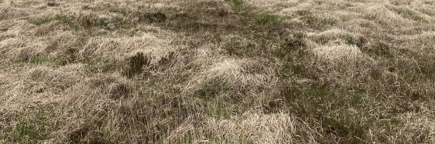 Matthew Gatehouse banner