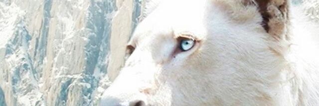 Simone987Lo's profile banner image