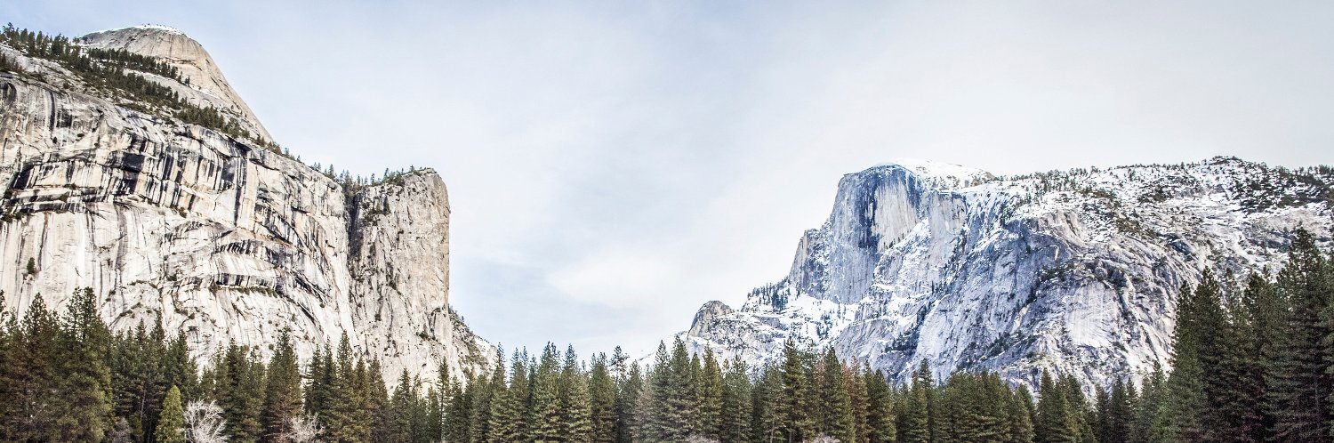 Lorena Anderson banner