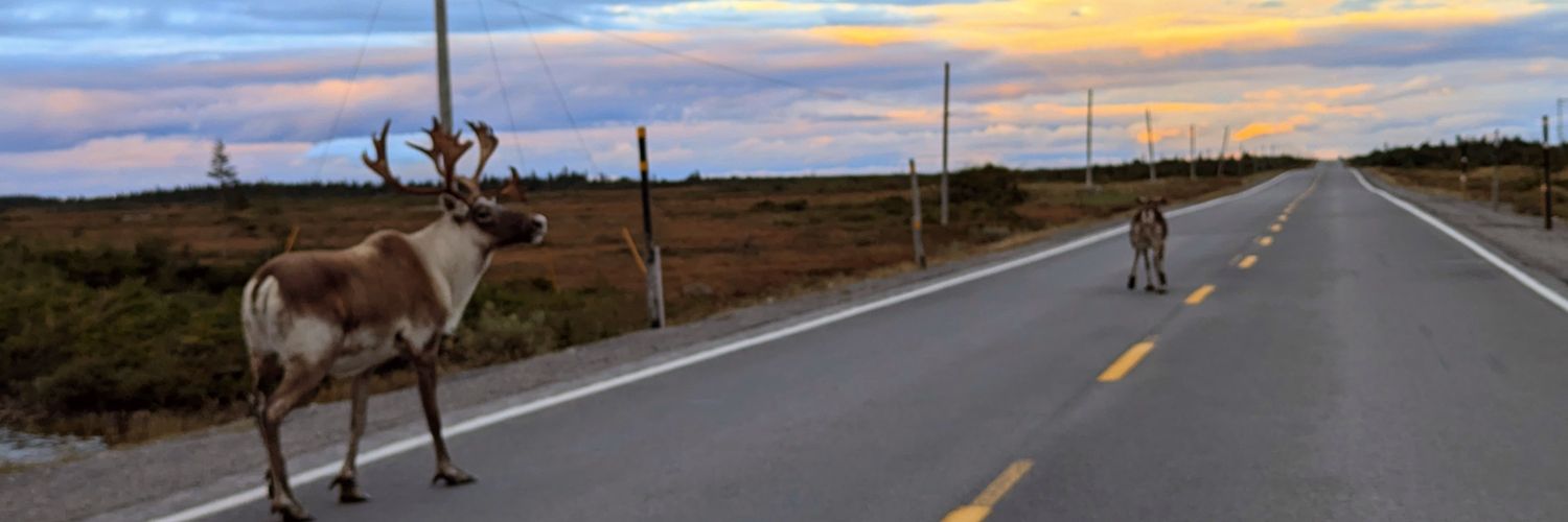 RandyKClarke's profile banner image