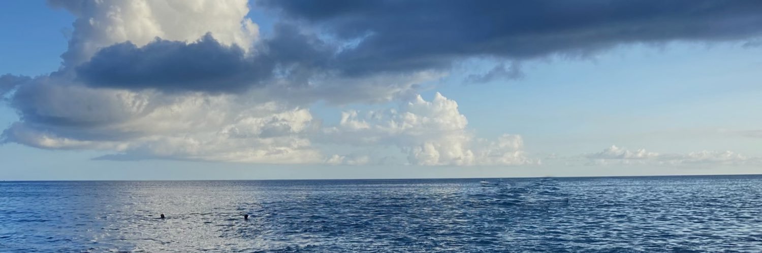 mariaarc13's profile banner image