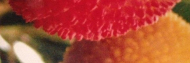 framomoy's profile banner image