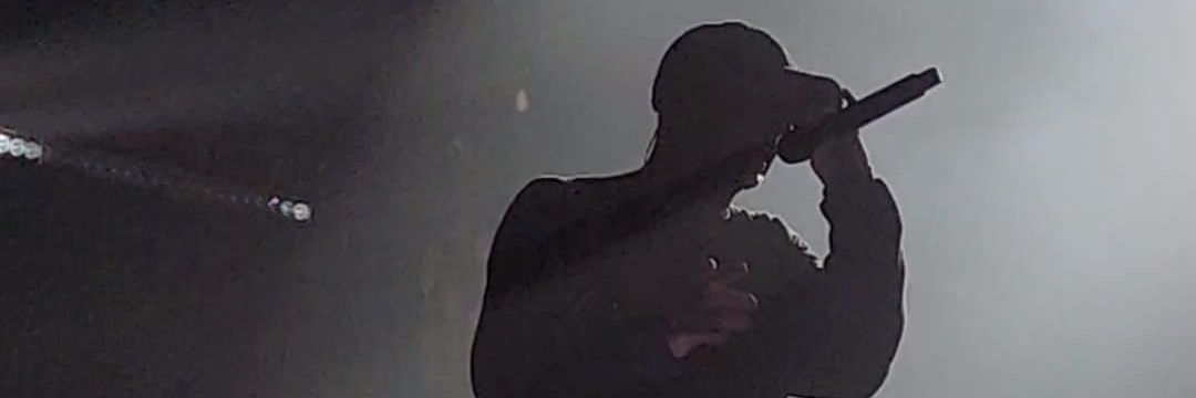 PingiiLogie's profile banner image