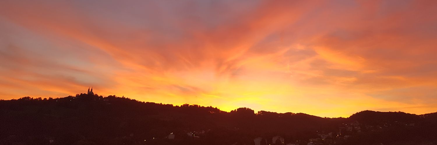 Kronen Zeitung OÖ banner