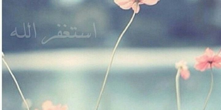 budora_FJ's profile banner image