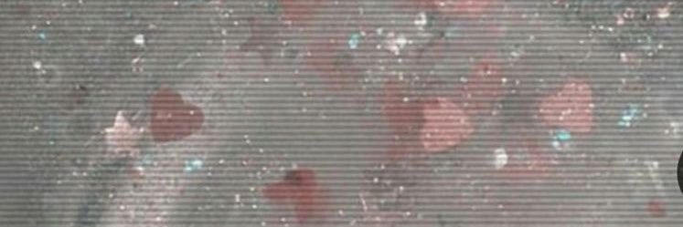 petribeom's profile banner image