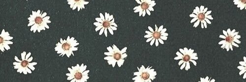 emsrobinson's profile banner image