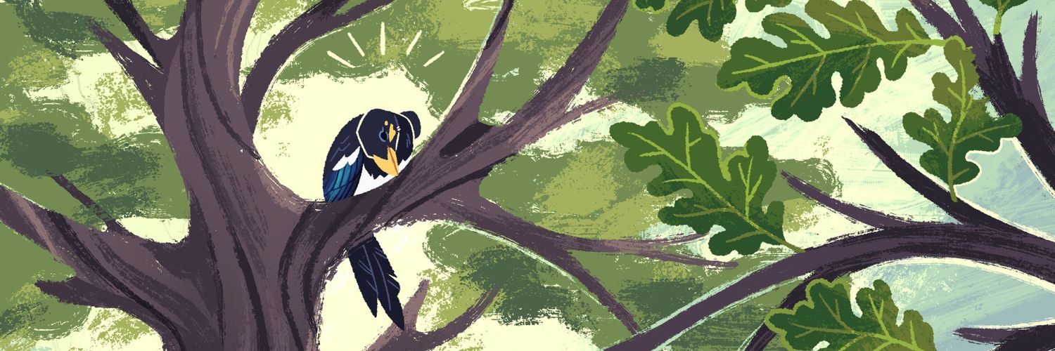 Shasta.bird.gay banner