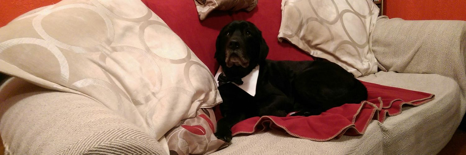 Steven J Beale🚍 banner