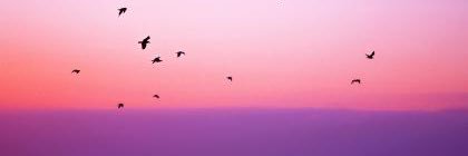 Life Bloggers banner