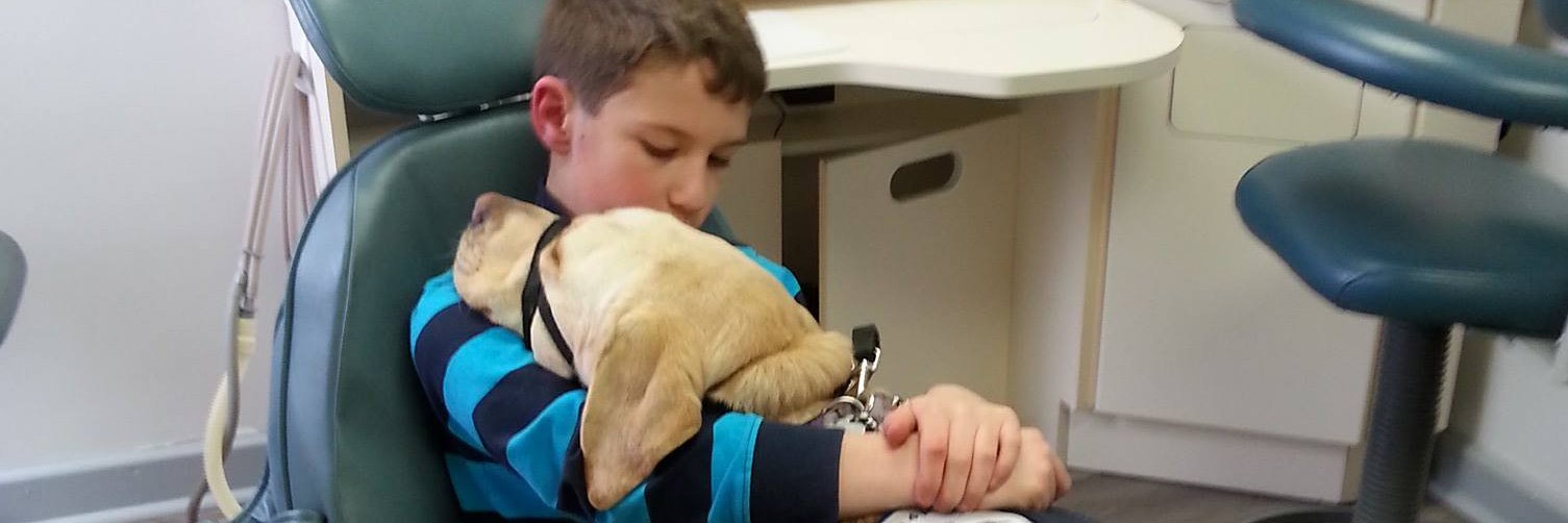 Paws4Ethan's profile banner image