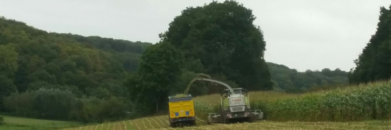 Olivier Gaffet banner