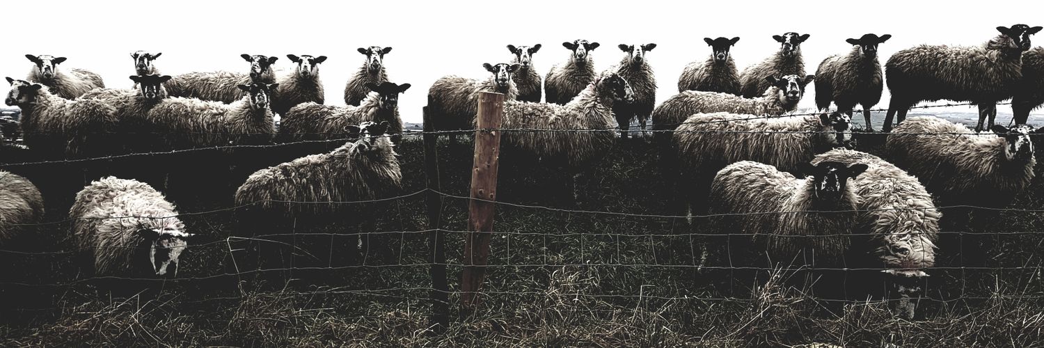 M0SCU's profile banner image