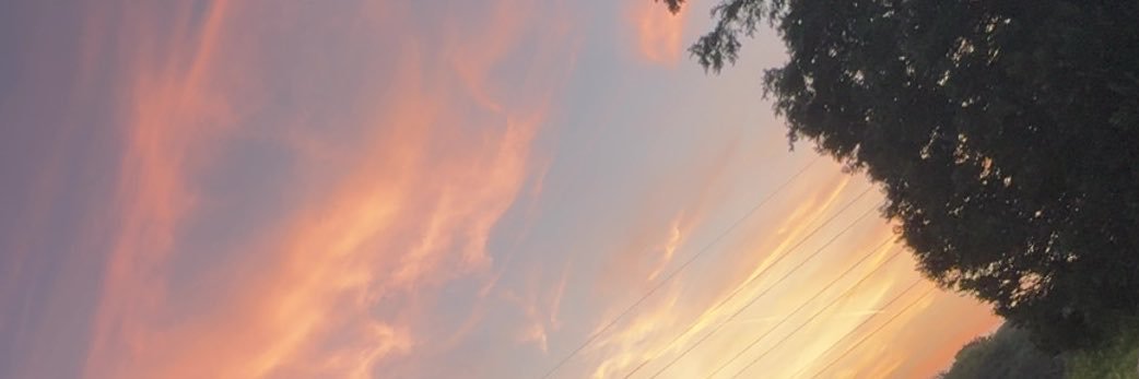 manonbnrd_'s profile banner image