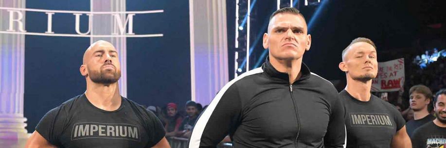 🇵🇸🇫🇷 banner