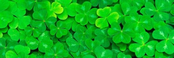 co3321 Profile Banner