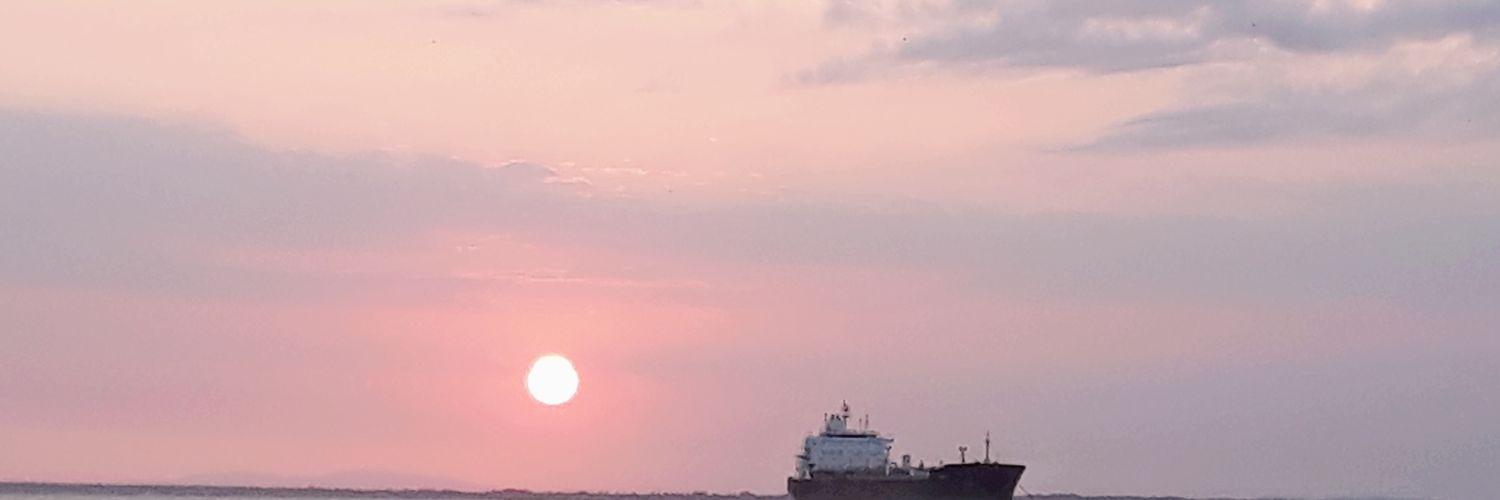 daliagdep's profile banner image