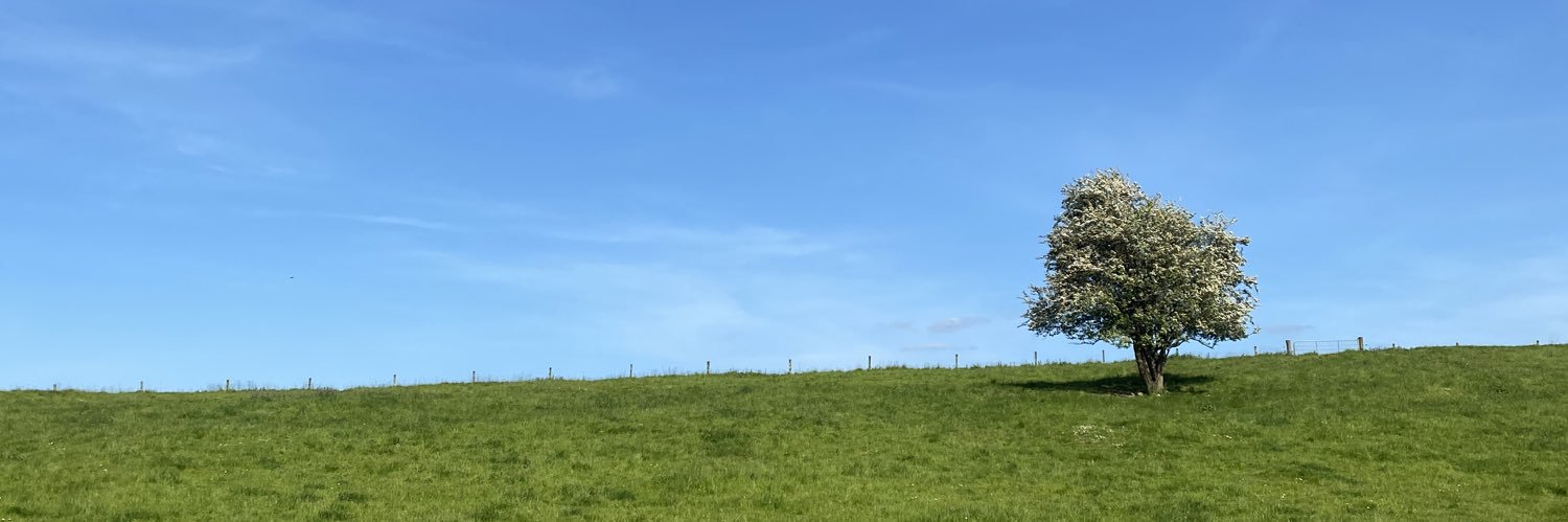 jamesfitzp15's profile banner image