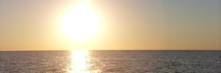 ballamutts's profile banner image