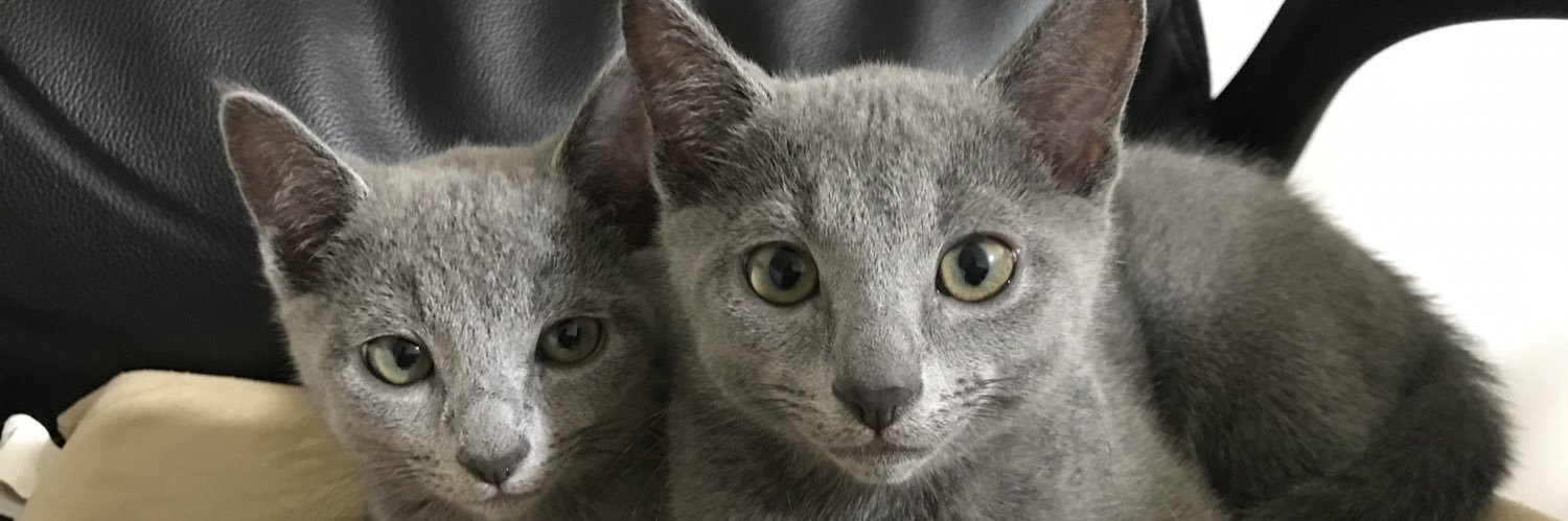 【11番】上田まみ(嫁ちゃん) banner