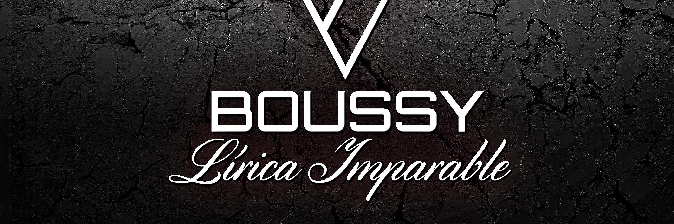 boussymusic's profile banner image