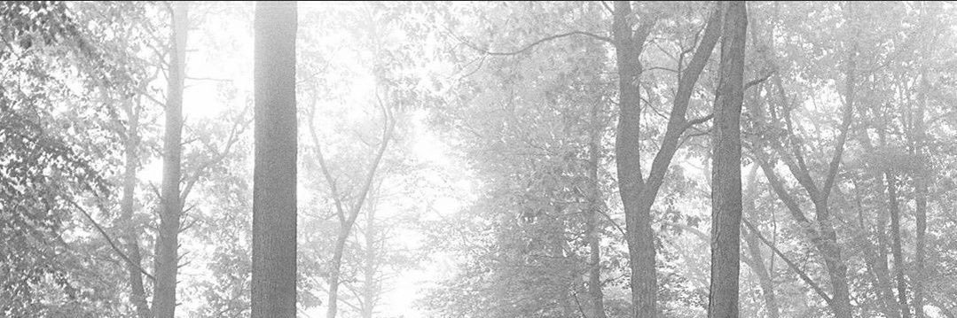 obsessedoftay's profile banner image