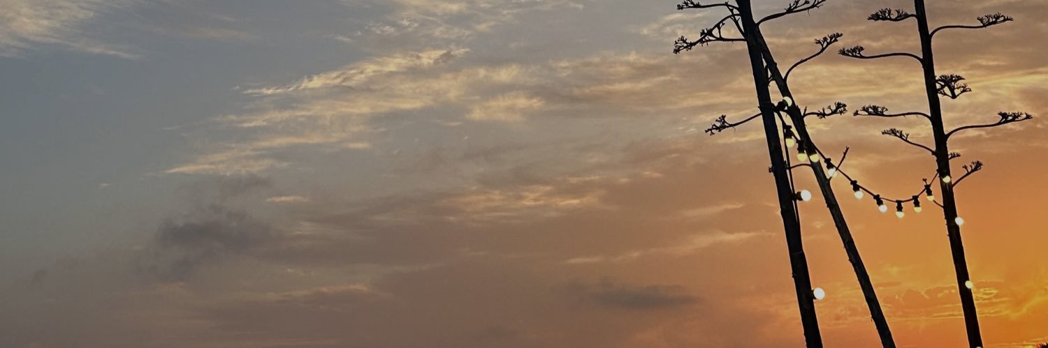 violamaraldi's profile banner image