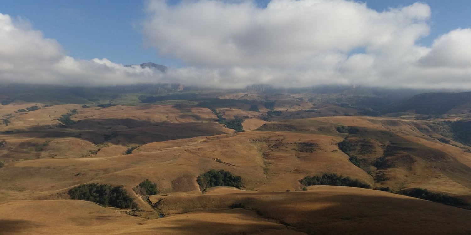DonovanHutcheon's profile banner image
