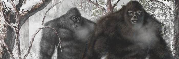 steve_squatch's profile banner image