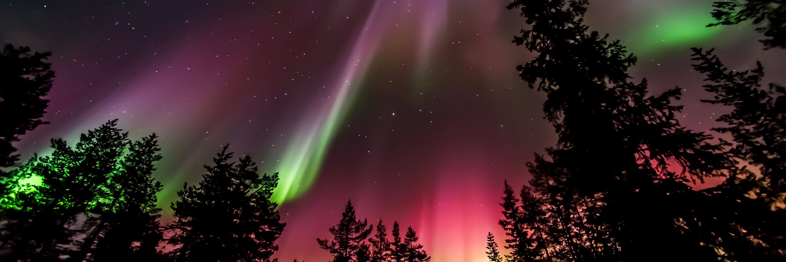 Visit Scandinavia banner