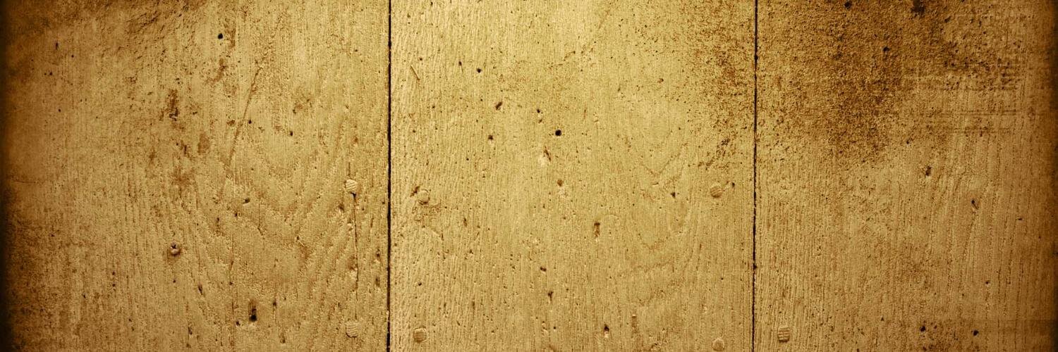 AbiLongstaffe's profile banner image