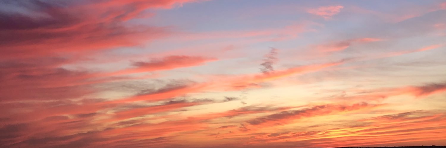 _RocioLH's profile banner image