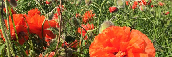 markstephen60 Profile Banner